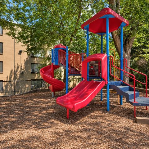 Play Area